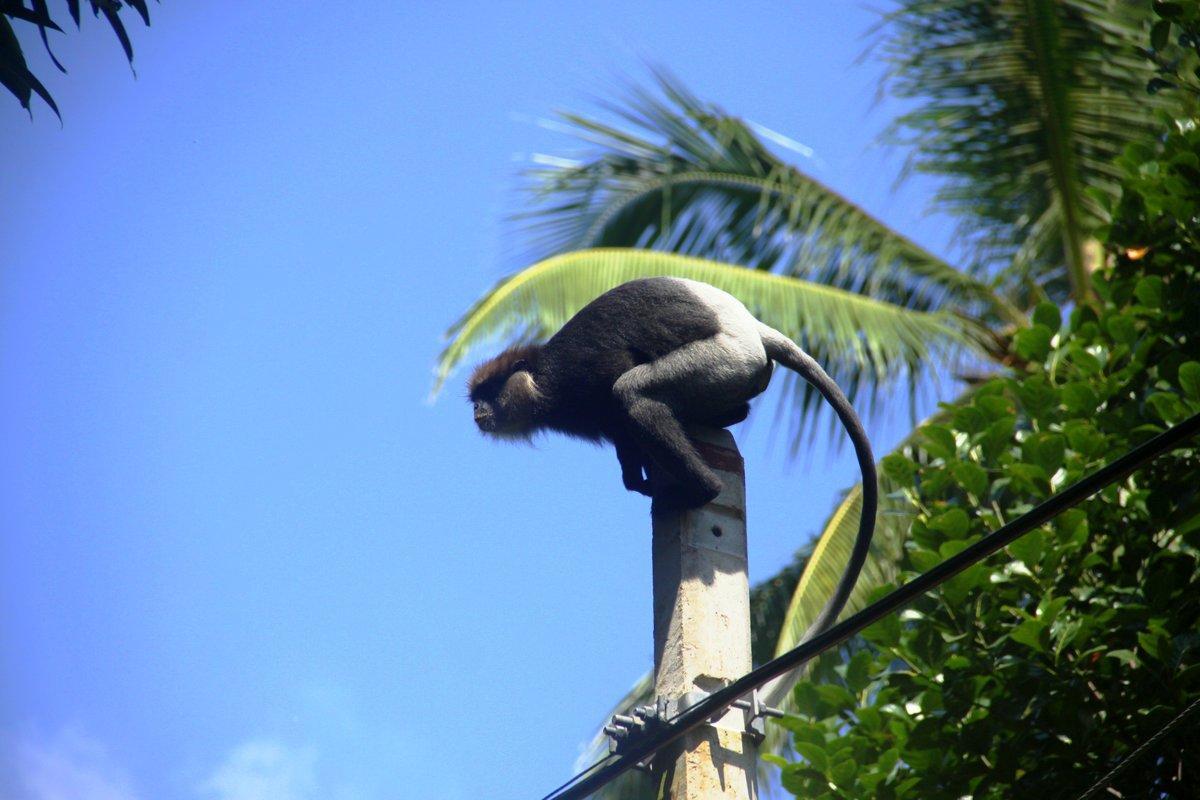 Villa Kaetana Lanka Unawatuna Buitenkant foto